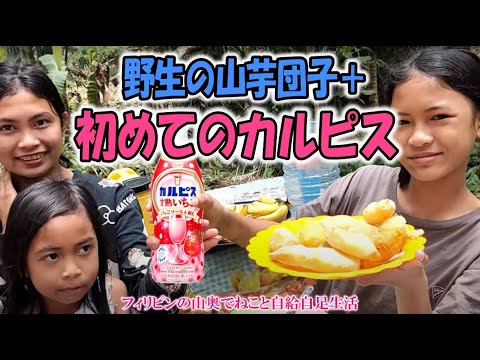 蜂に噛まれていじけたジェニン、山芋の団子とカルピスが笑顔をくれた(日本食チャレンジ！)【フィリピンの山奥でねこと自給自足生活】