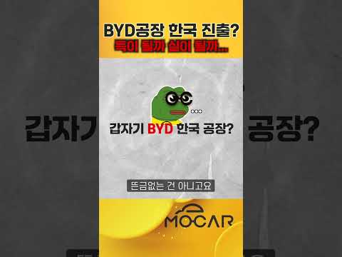 중국 BYD 자동차 공장이 한국에! 괜찮을까?