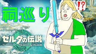 【ティアキン】祠回収作業！！！その他
