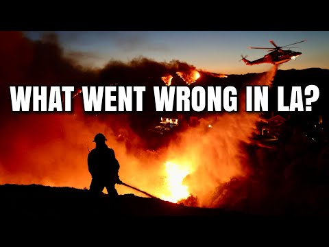 L.A. Ignites Controversy Amid Fire Disaster - Bubba the Love Sponge® Show | 1/13/25