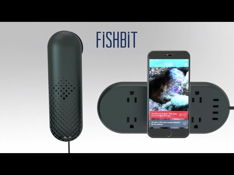 FishBit Makes Owning Saltwater Aquariums Easy | Hardware Battlefield - UCCjyq_K1Xwfg8Lndy7lKMpA