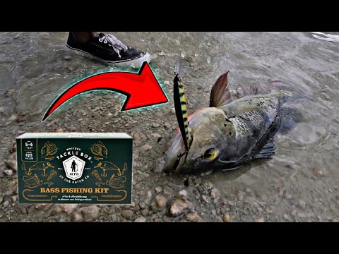 CATCHING BIG FISH in MIAMI with mystery tackle box