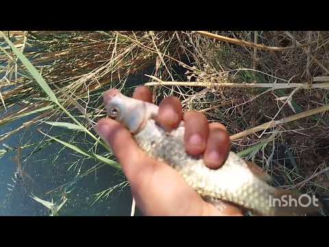 مستمرين بل صيد ول ستكشاف الشياء المخفيه 🤝