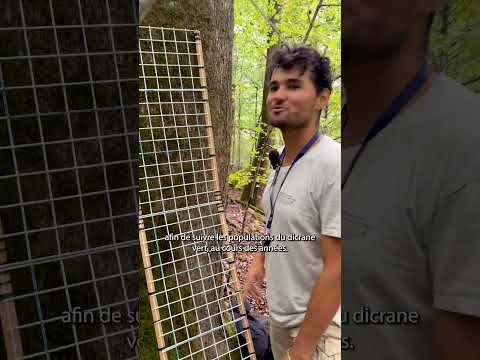 Mon métier, ma nature – Bryologue #7