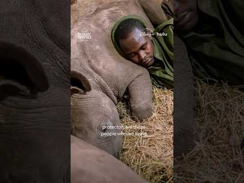 Who are the best protectors for endangered rhinos? Ami Vitale explains 💛 #TheLastRhinosANewHope