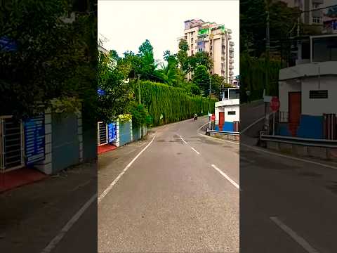 യാത്രയായ്  സൂര്യാങ്കുരം❤ #Kjyesudas #kschithra  #vidyasagar #gireeshputhenchery #shortsvideo #love