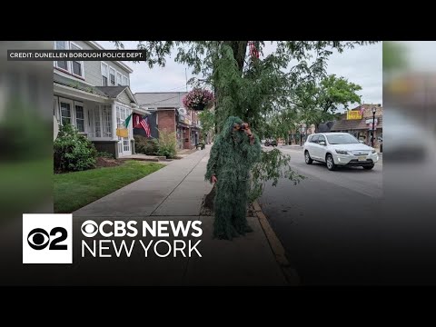 New Jersey officer disguised as shrub to catch distracted drivers