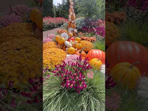 Longwood Gardens Fall! #flowers #fall #longwoodgardens #pumpkin #pennsylvania #garden #flower