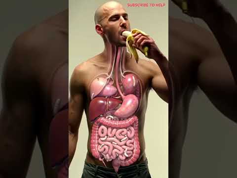 #3D#helth#vidioviral #human##SUBSCRIBE #to#youtube#trendingshorts #youtube #team#t#in#10k.