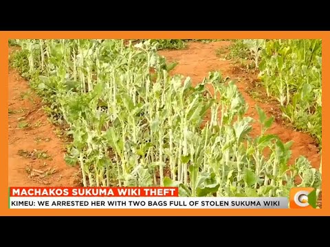 VIDEO: Woman arrested for allegedly stealing sukuma wiki​Citizen TV Kenya