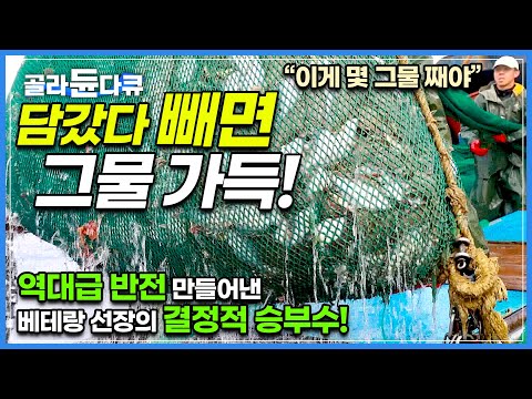 최정예 선원 데리고 계속된 헛그물질에 체면 구겨진 베테랑 선장의 결정적 승부수!┃45년 어부 인생 역대급 반전 만들었다!┃역전의 바다! 만선 가자미잡이┃바닷가 사람들┃#골라듄다큐