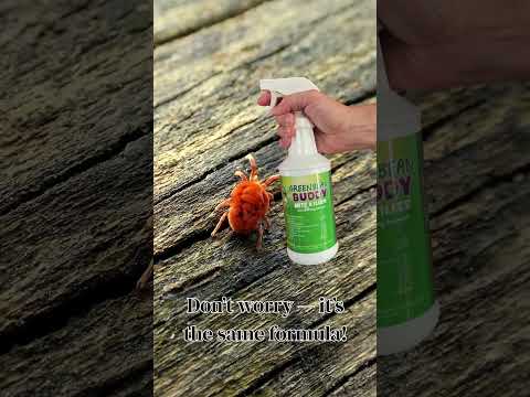 Different Labels, Same Powerful Formula!