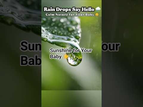 🌧️ Rain Drops Say Hello — Calming Nature Video for Babies | Baby Sensory Relaxation  #SensoryShorts