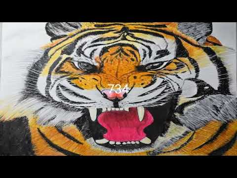 pls subscriber-no extra voice#return of Tiger 7 3 4