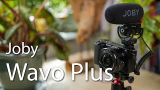 Vido-Test : Joby Wavo Plus im Test - Ein schickes Kameramikrofon mit einigen Features