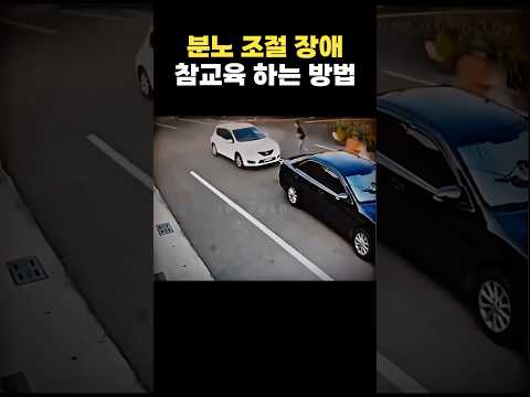 분노 조절 장애 참교육ㄷㄷ