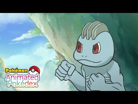 Pokemon TCG News