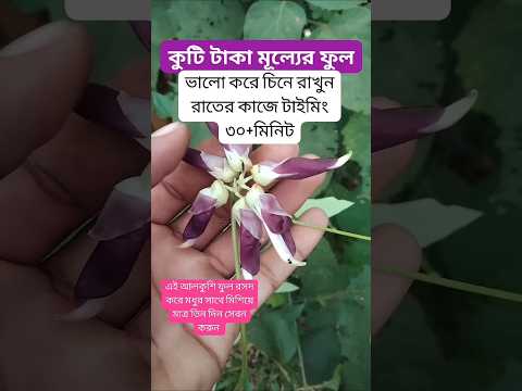 #shortvideo #shorts #motivation