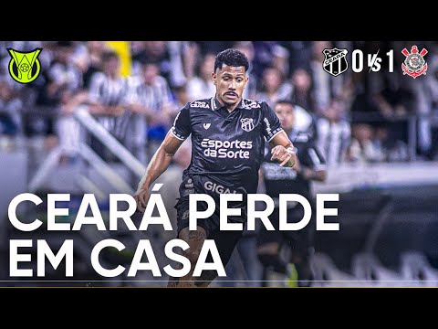 image para ilustrar o artigo
