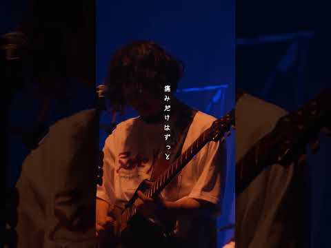 #ネクライトーキー #夏の雷鳴