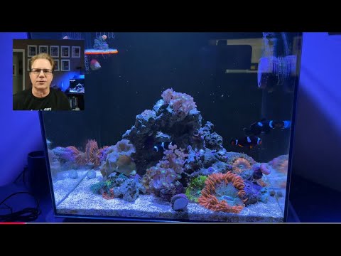Open Topic today_ What are your questions? Please support me_ http_//shop.melevsreef.com

CORAL Magazine_ http_//coralmagazine.com/melev23