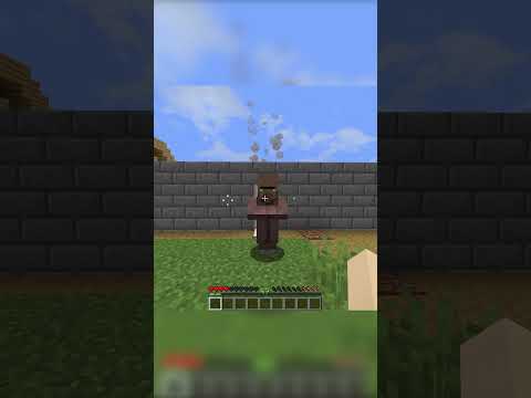 Điều Gì Sẽ Xảy Ra Nếu Tôi Vào Một Ngôi Làng Tìm Đồ Ăn? #minecraft #shorts #memes #gaming #funny