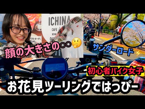 【突発ツーリング】桜が満開いい天気なのでサンダーロードに遊びに行った【水元公園】