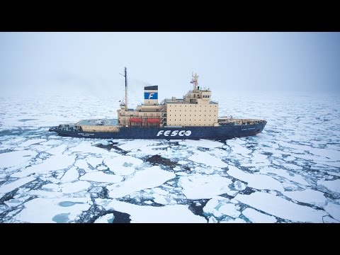 Tested Arctic: A Short Film - UCiDJtJKMICpb9B1qf7qjEOA