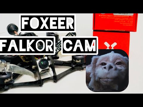 Falkor - Foxeer micro high res drone camera - UCTSwnx263IQ0_7ZFVES_Ppw