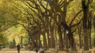 Autumn In New York - Sweet Jazz Trio