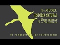 Imatge de la portada del video;El renàixer de les Col·leccions, Museu de la Universitat de València d'Història Natural