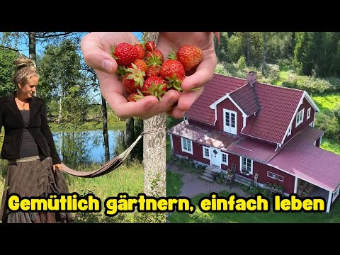 Comfortable gardening, simple living - Our farm in Sweden - Quiet & rainy summer days in the forest