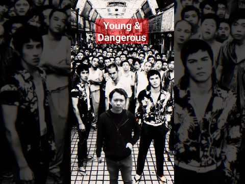 Young and Dangerous (古惑仔)