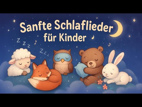 Die schönsten Schlaflieder für Kinder mit Tieren 🎵 Fuchs, Bär & Eule zum Einschlafen 😴