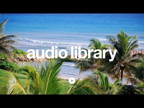 [No Copyright Music] Beach Party - Kevin MacLeod - UCht8qITGkBvXKsR1Byln-wA