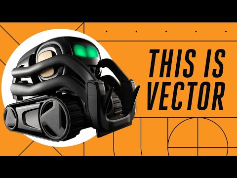 Vector: Anki’s tiny robot that wants to hang - UCddiUEpeqJcYeBxX1IVBKvQ