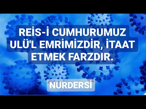 islam-tr.org