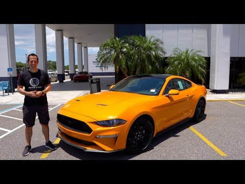 Is the 2019 Ford Mustang EcoBoost really that BAD? - UCILN_EvJ2ocZ5MW7168oQLg