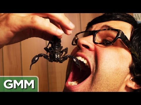 Eating a Scorpion - Bug War Challenge - UC4PooiX37Pld1T8J5SYT-SQ