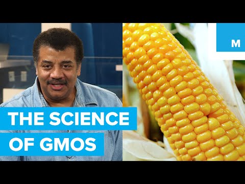 Neil deGrasse Tyson gets to the bottom of GMOs - UCL8Nxsa1LB9DrMTHtt3IKiw