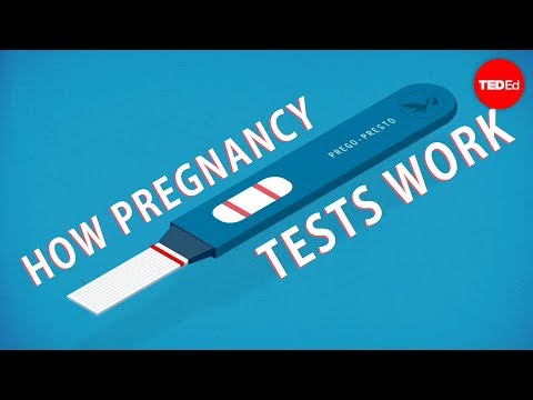 How do pregnancy tests work? - Tien Nguyen - UCsooa4yRKGN_zEE8iknghZA