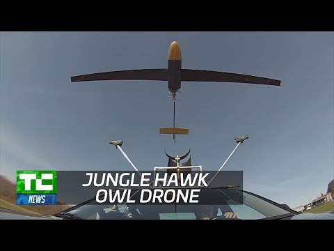 MIT's Jungle Hawk Owl Drone - UCCjyq_K1Xwfg8Lndy7lKMpA