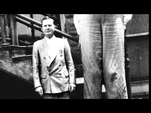 Robert Wadlow, the Tallest Basketball Player in History