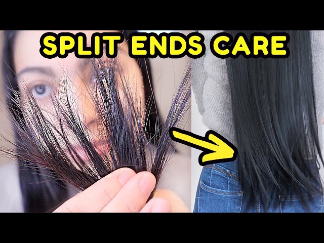 How to Cut and Prevent Split Ends