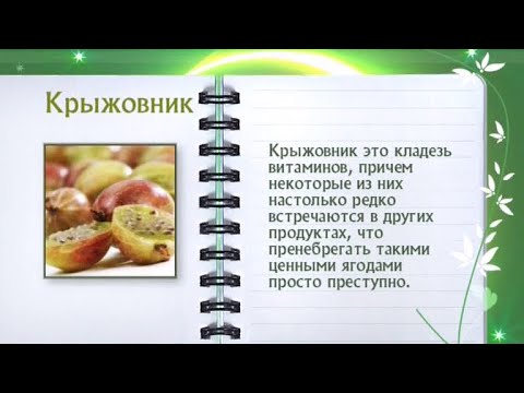 Кулинарная энциклопедия - Крыжовник - UC7XBjhXnmmXFsxmnys9PmDQ