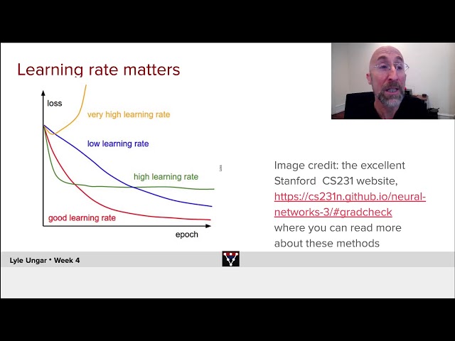 The Importance of Learning Rates in Machine Learning