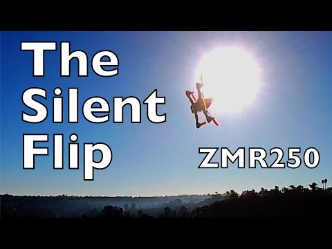 Silent Flip ZMR250 - UCTa02ZJeR5PwNZK5Ls3EQGQ