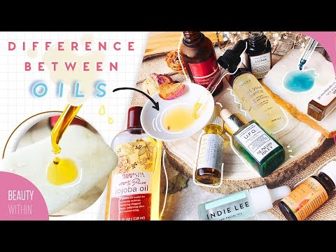 How Facial Oils Should Really Be Used In Your Skincare Routine | For Dry, Combination & Oily Skin - UC8f2CDyLibpGYSN3O2LfDwg