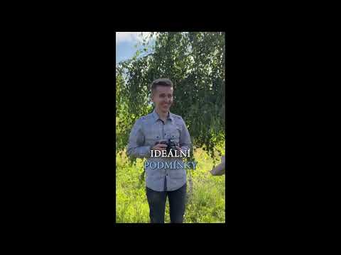 TikTok trend - Jasně, že ...