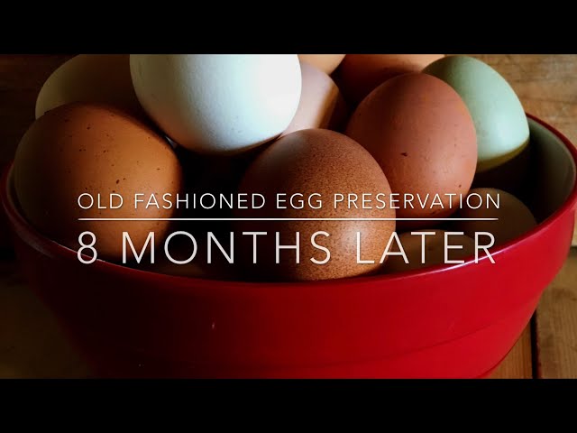 How to Preserve Eggs Without Refrigeration?